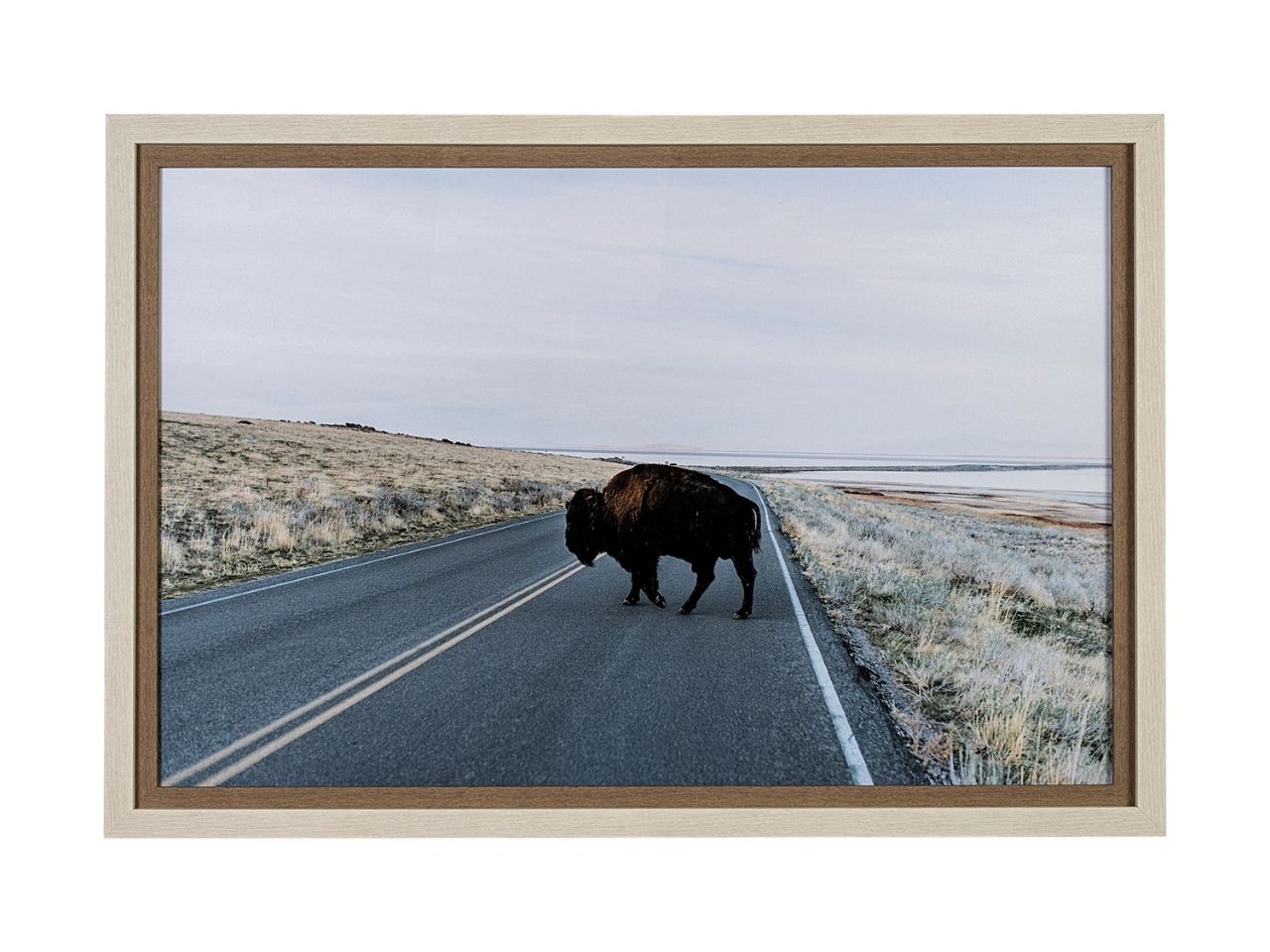 Bison Crossing Hand Embelished Textured Framed Photo Art in Calgary front view