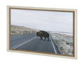 Bison Crossing Hand Embelished Textured Framed Photo Art in Calgary in a white background