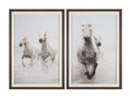 Determination Framed Set of 2 Horse Photographic Prints in Calgary in a white background