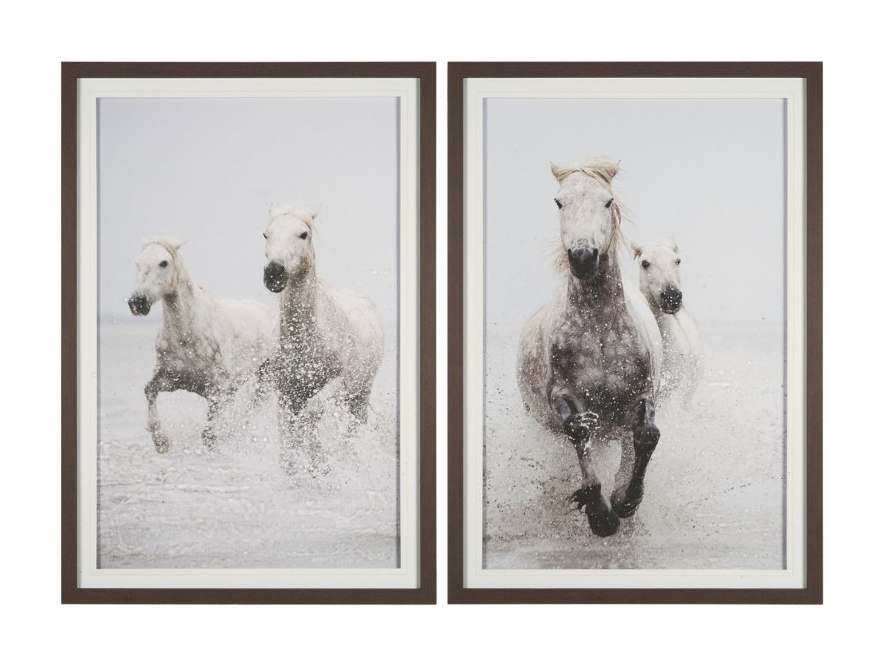 Determination Framed Set of 2 Horse Photographic Prints in Calgary in a white background