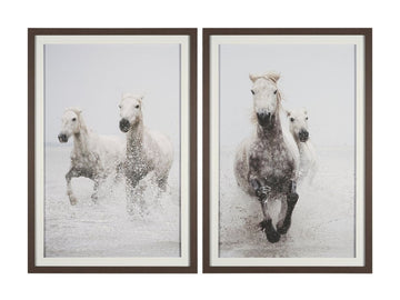 Determination Framed Set of 2 Horse Photographic Prints in Calgary in a white background