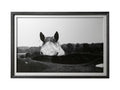 Black and white framed photograph of a horse's head peeking over a field in Calgary in a white background
