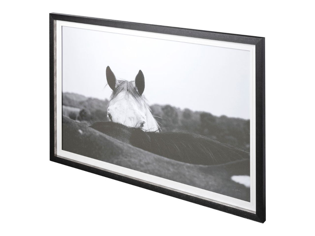 Black and white framed photograph of a horse's head peeking over a field in Calgary in a white background