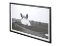 Flirt Framed Horse Photo Art Print Matted Under Glass in Calgary in a white background 