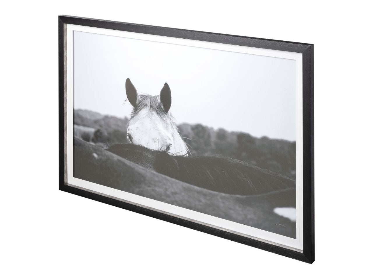 Flirt Framed Horse Photo Art Print Matted Under Glass in Calgary in a white background 