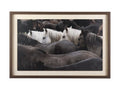 Hand-Embellished Framed Photo Art Custom White Horses Print in Calgary in a white background