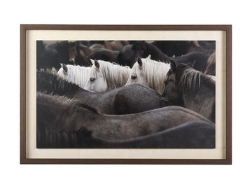 Hand-Embellished Framed Photo Art Custom White Horses Print in Calgary in a white background