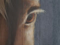 Hennessy Close up Hand-Painted Brown Horse Oil Painting on Wood Panel in Calgary