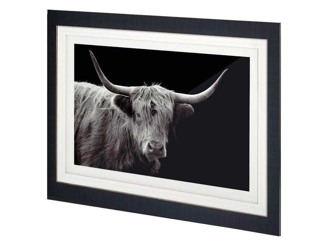Highland Framed Wall Art Series - Farmhouse Animal Photography Prints in Calgary in a white background