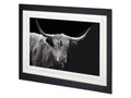 Highland Framed Wall Art Series - Farmhouse Animal Photography Prints in Calgary in a white background