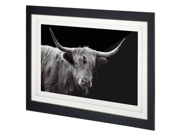 Highland Framed Wall Art Series - Farmhouse Animal Photography Prints in Calgary in a white background
