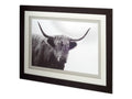 Highland Haze Framed Wall Art Series - Farmhouse Animal Photography Prints in Calgary in a white background