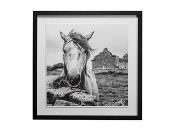 Ireland Black and White Framed Photo Print Matted Under Glass in Calgary in a white background
