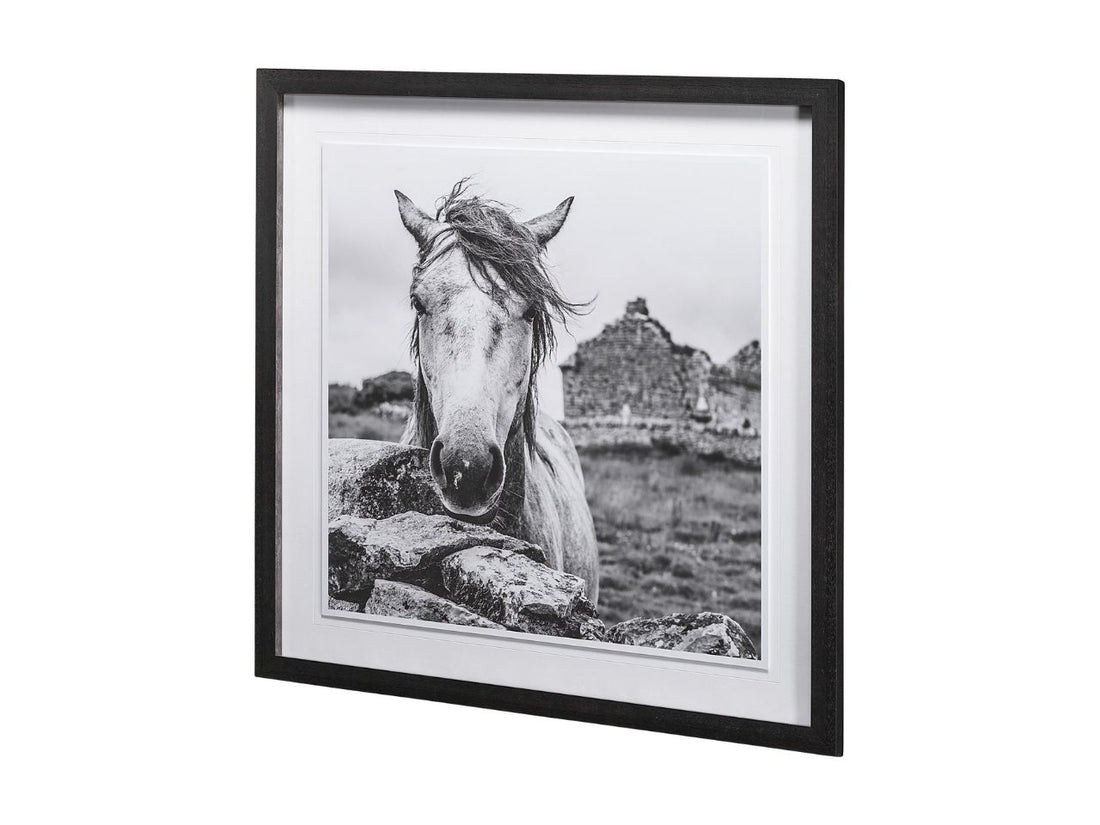 Ireland Black and White Framed Photo Print Matted Under Glass in Calgary in a white background

