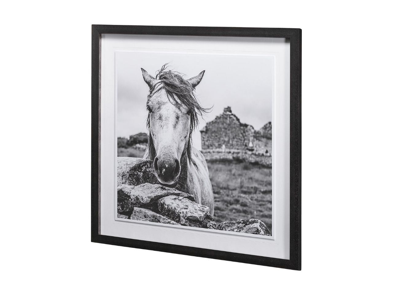 Ireland Black and White Framed Photo Print Matted Under Glass in Calgary in a white background