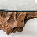 Natura Round Root Teak Coffee Table with Tempered Glass Top