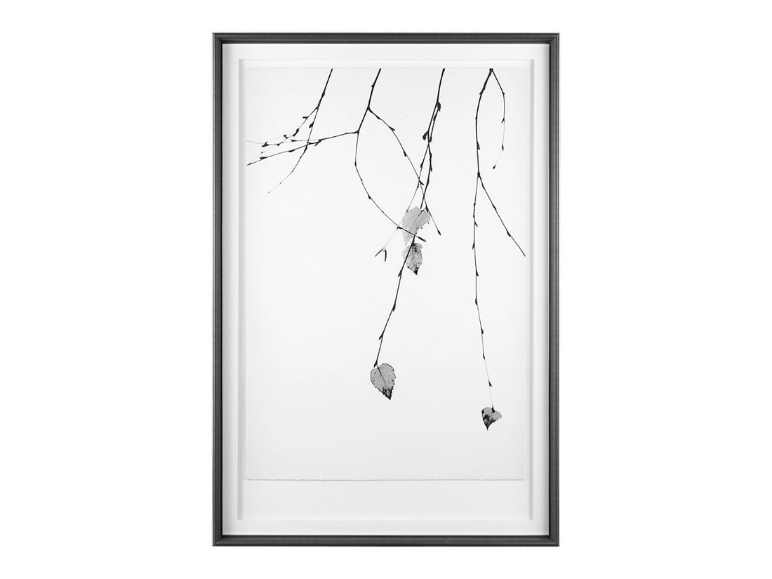 Solo by Rebecca Cozart Hand-Embellished Textured Framed Wall Art Print in Calgary in a white background