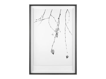 Solo by Rebecca Cozart Hand-Embellished Textured Framed Wall Art Print in Calgary in a white background