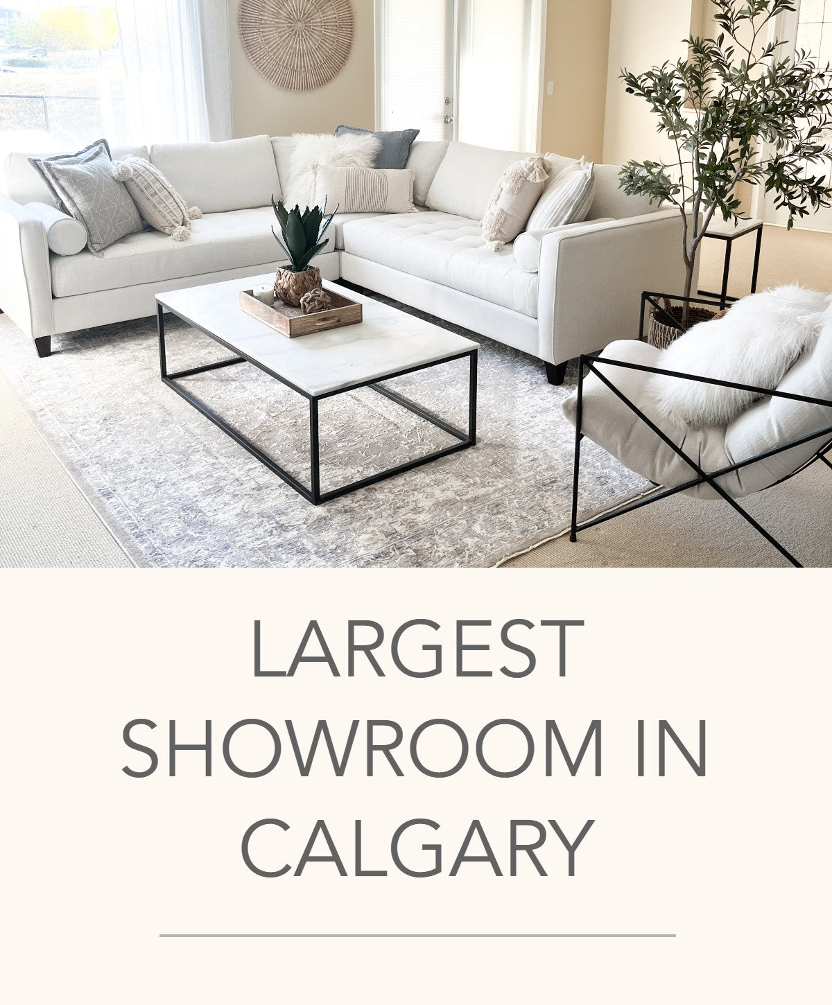Calgary Furniture Store