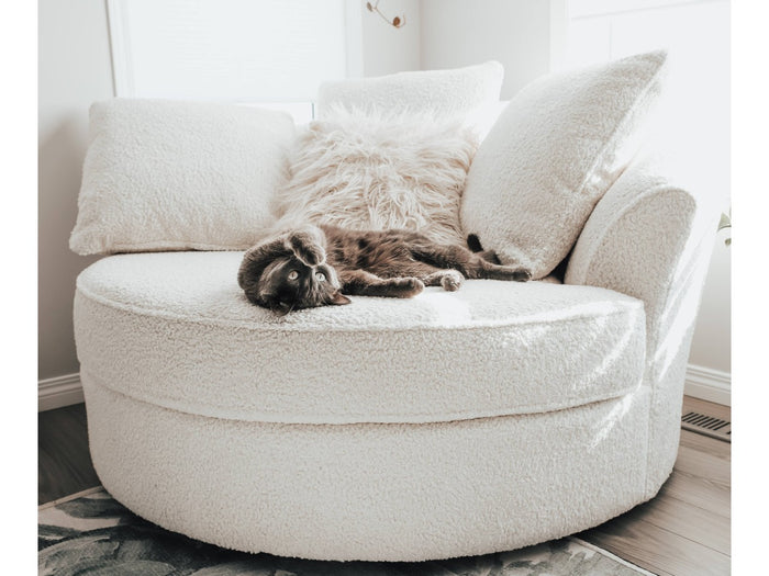 Loop nest chair in Calgary