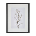 Magnolia II | Calgary Furniture Store