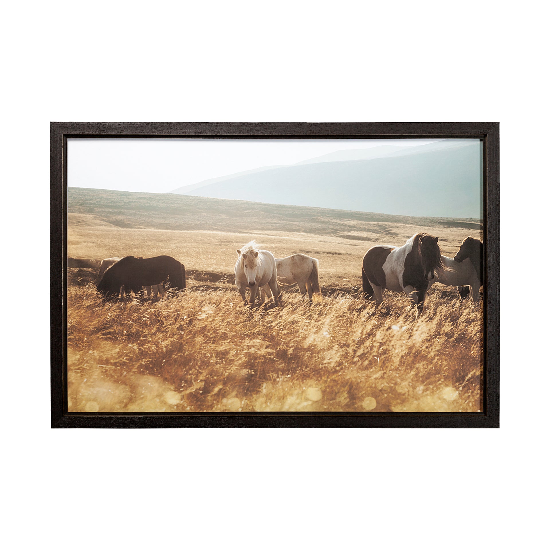 Moorland Serenity | Calgary Furniture Store