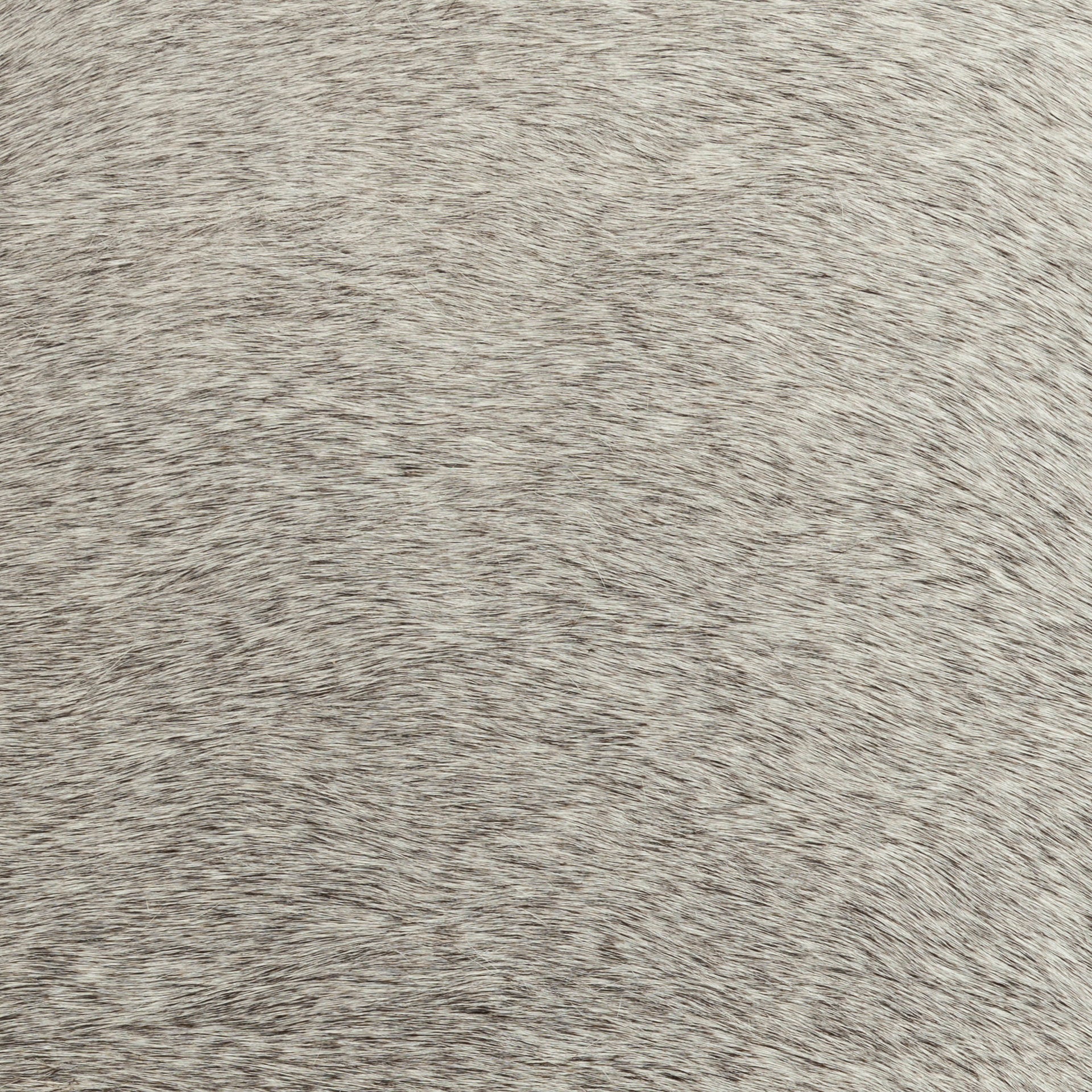 Zahavi Ottoman | Calgary Furniture Store