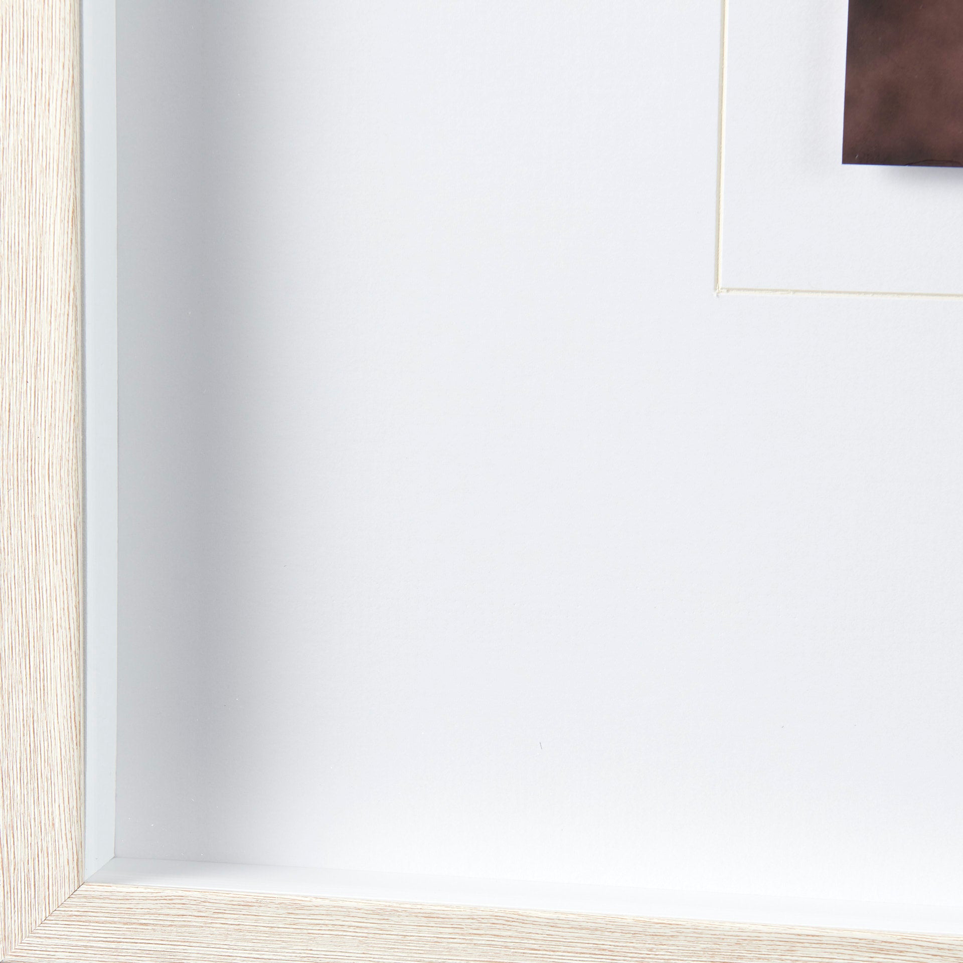 Wild Mane | Calgary Furniture Store