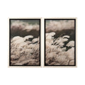 Nature's Melody Wall Art 🇨🇦 | Calgary Furniture Store