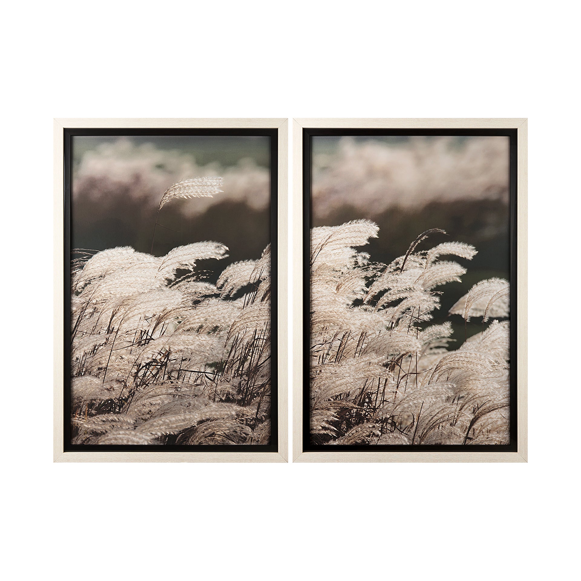 Nature's Melody Wall Art 🇨🇦 | Calgary Furniture Store