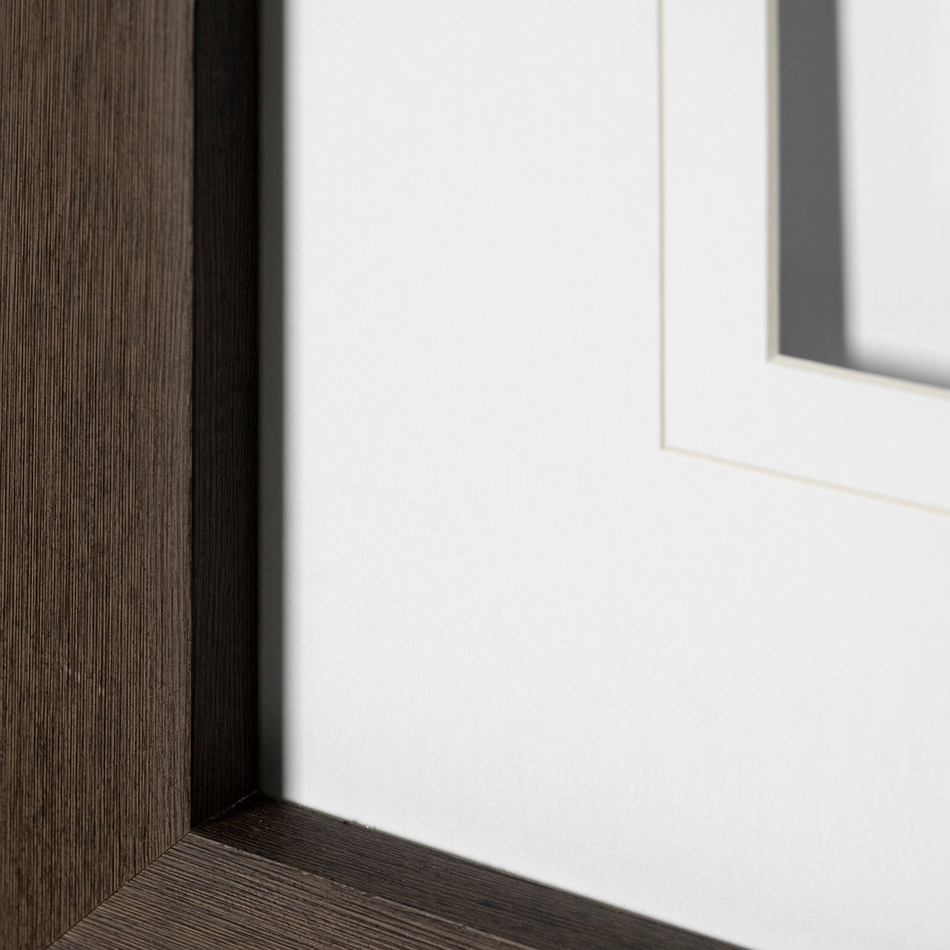 Curios Cub | Calgary Furniture Store