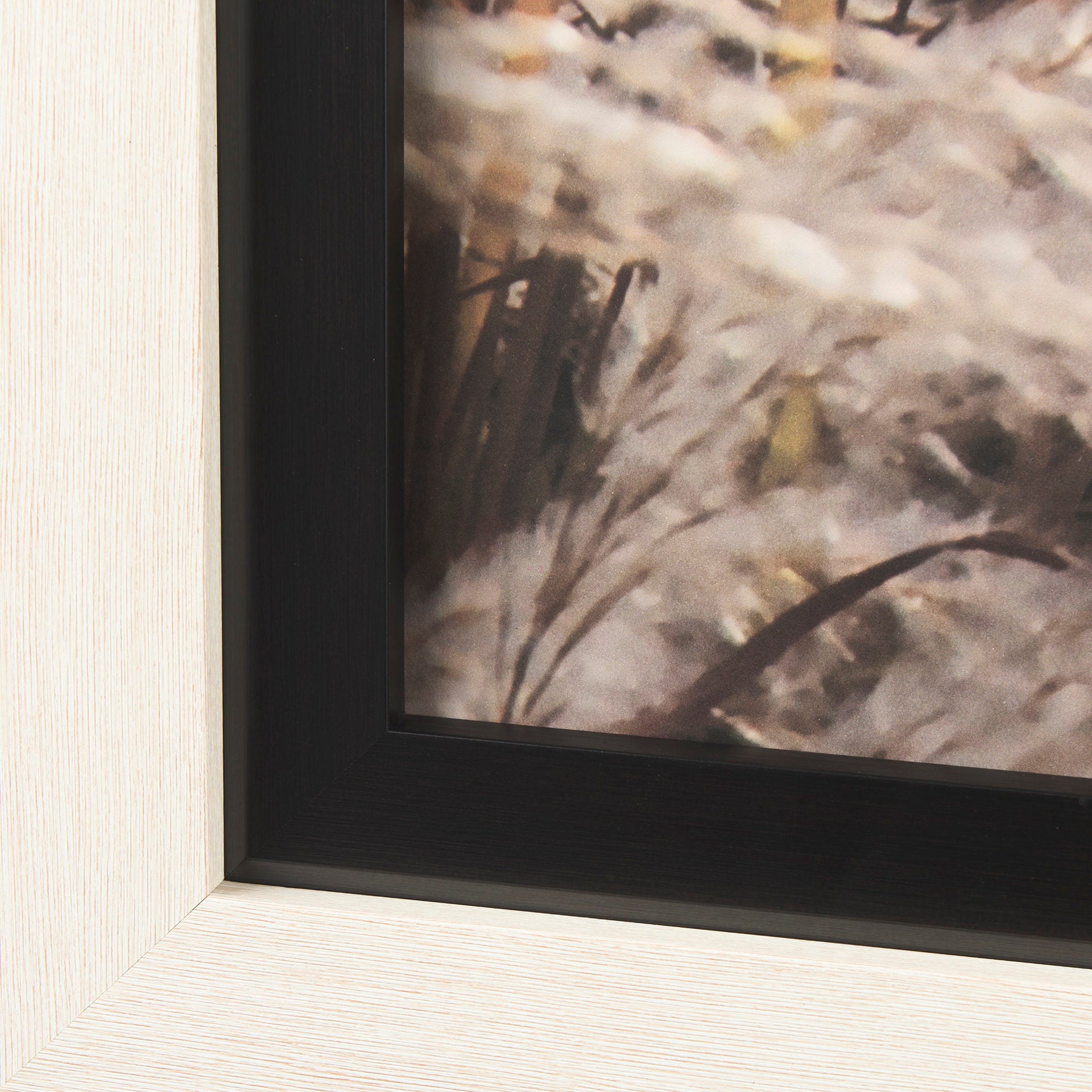 Nature's Melody Wall Art 🇨🇦 | Calgary Furniture Store