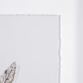 Olive Branch I | Calgary Furniture Store