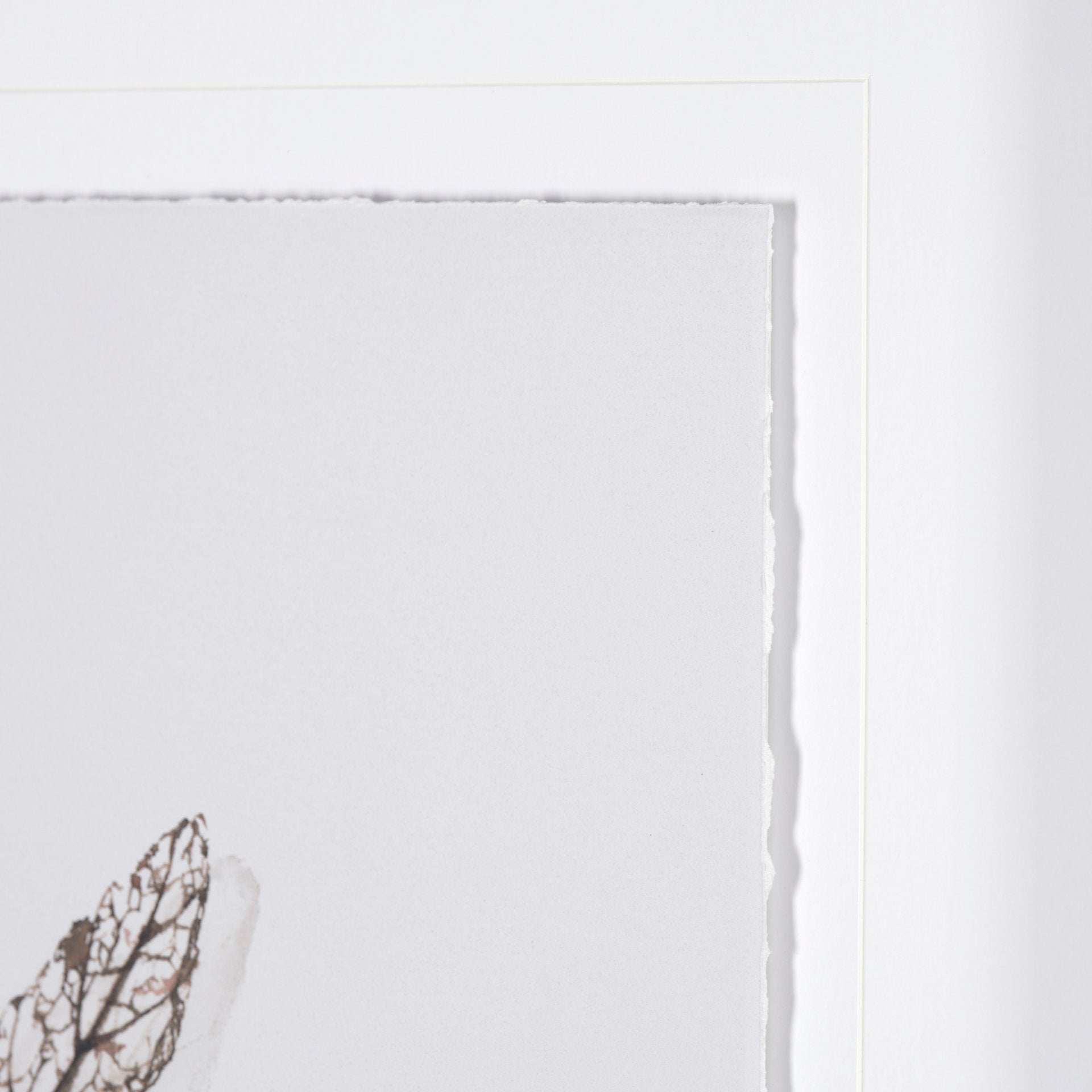 Olive Branch I | Calgary Furniture Store