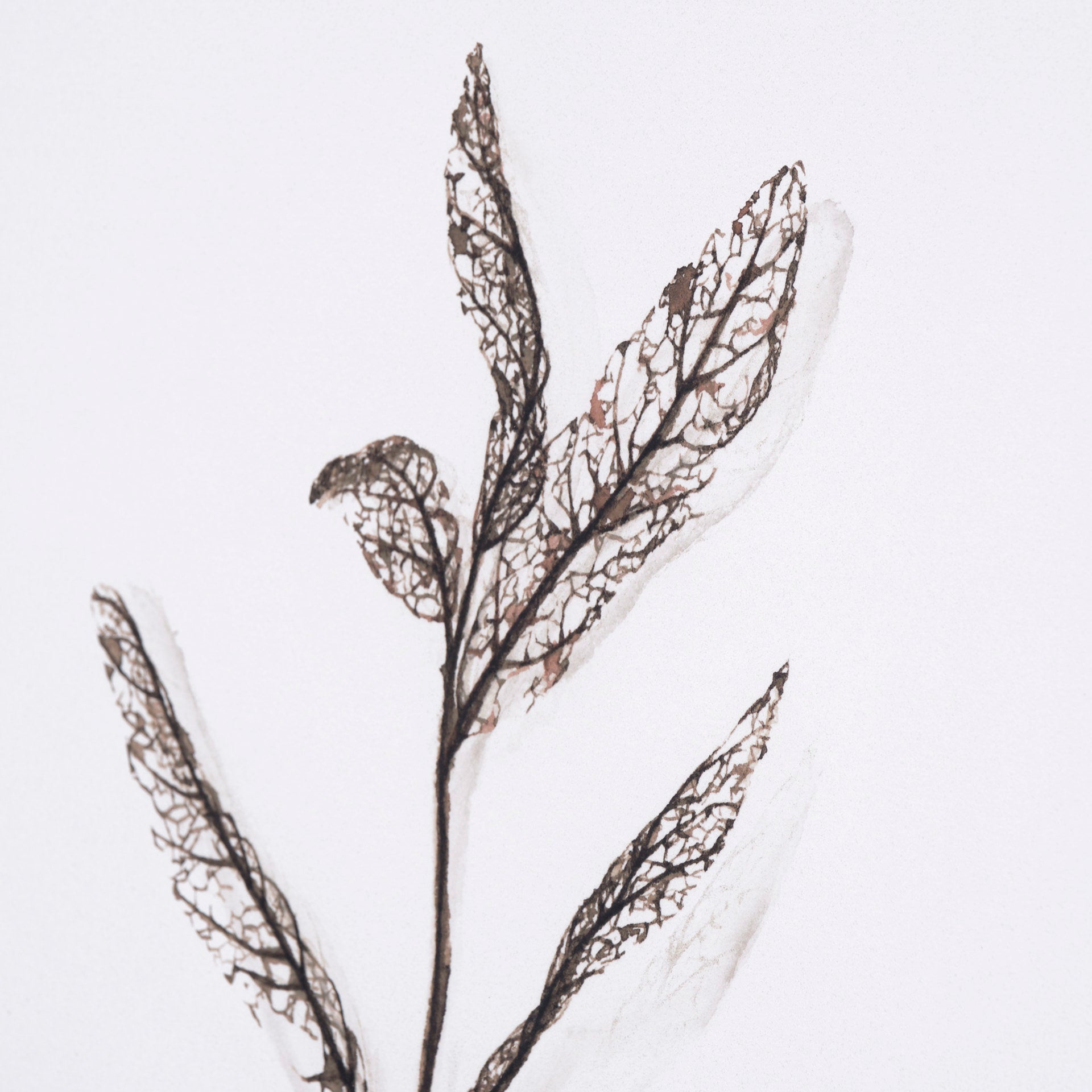 Olive Branch I | Calgary Furniture Store