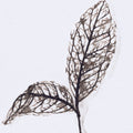 Olive Branch II | Calgary Furniture Store