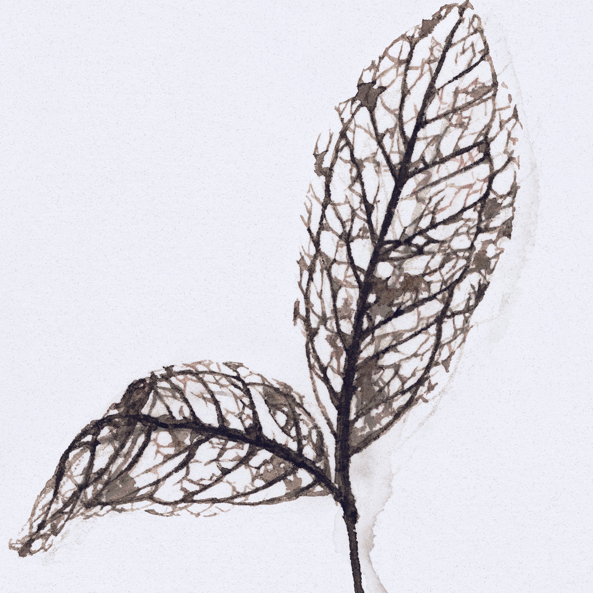 Olive Branch II | Calgary Furniture Store