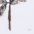 Olive Branch II | Calgary Furniture Store
