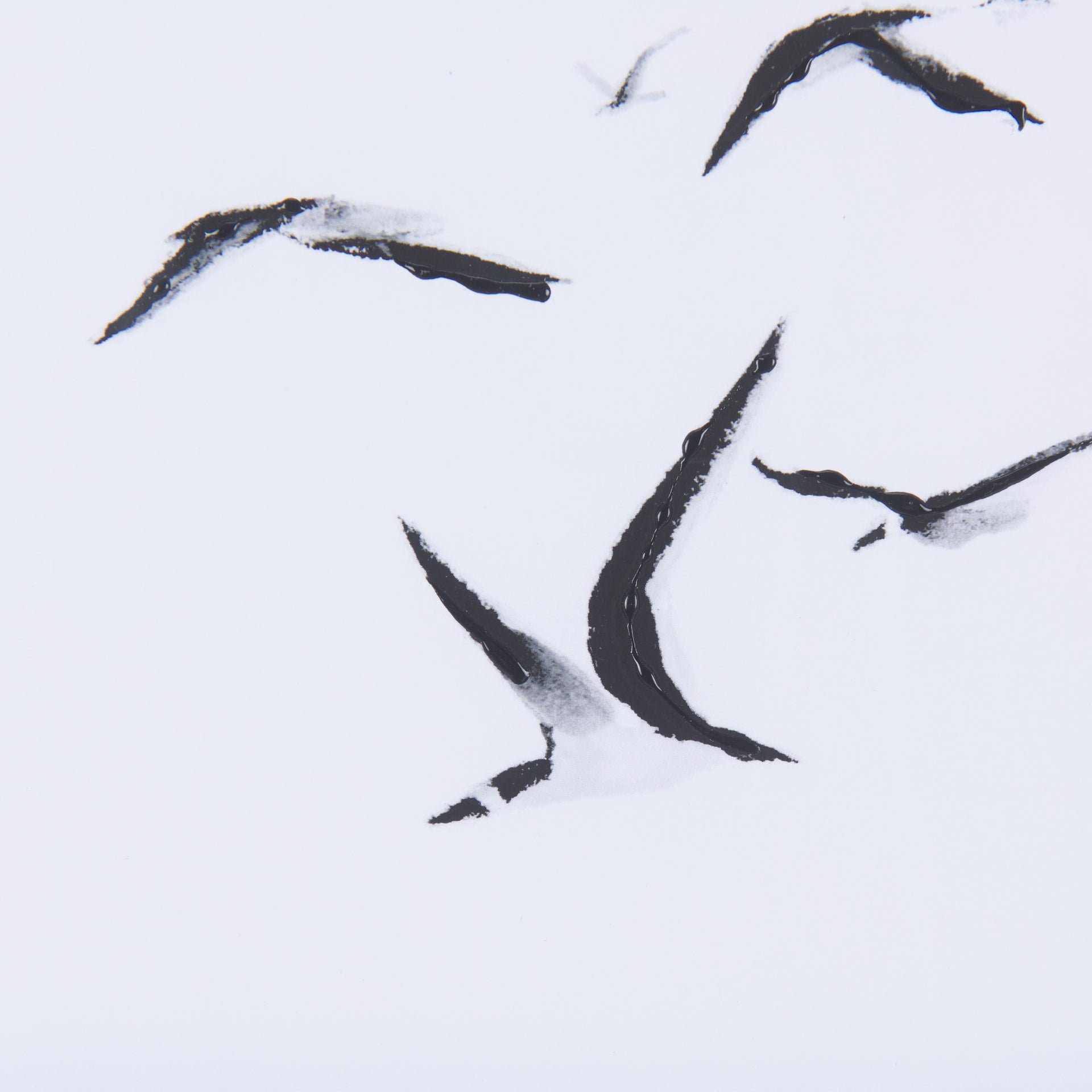 Fly Away 🇨🇦 | Calgary Furniture Store