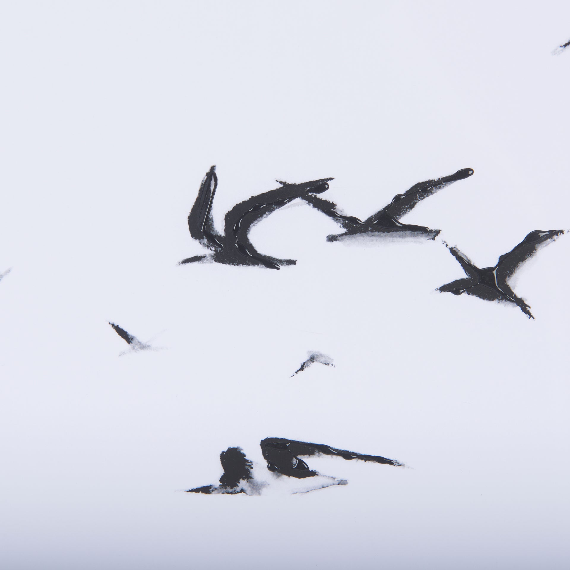 Fly Away 🇨🇦 | Calgary Furniture Store