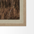 Yellowstone Bison | Calgary Furniture Store