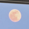 Seashore Moonrise | Calgary Furniture Store