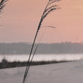 Seashore Sunset | Calgary Furniture Store
