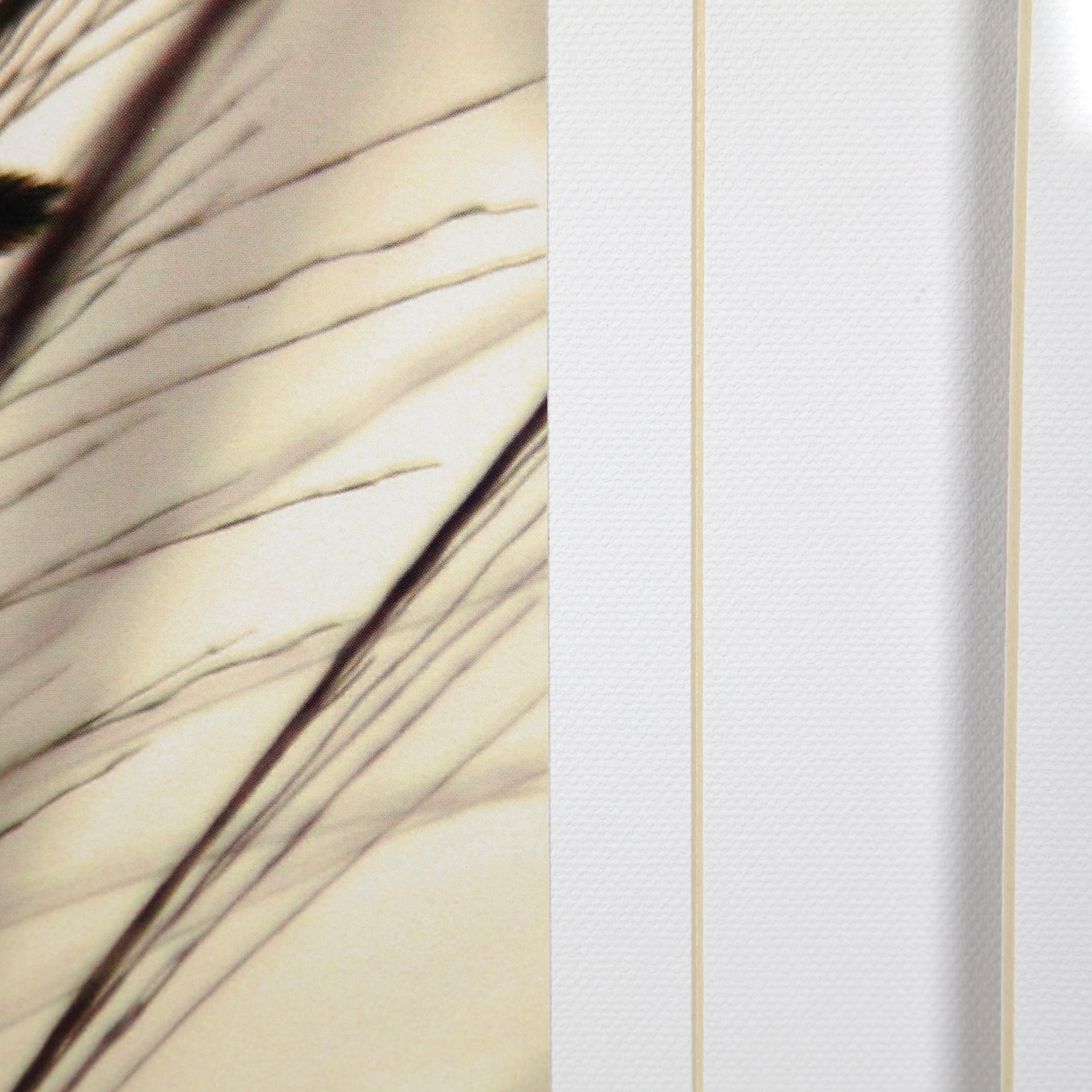 Organic I | Calgary Furniture Store