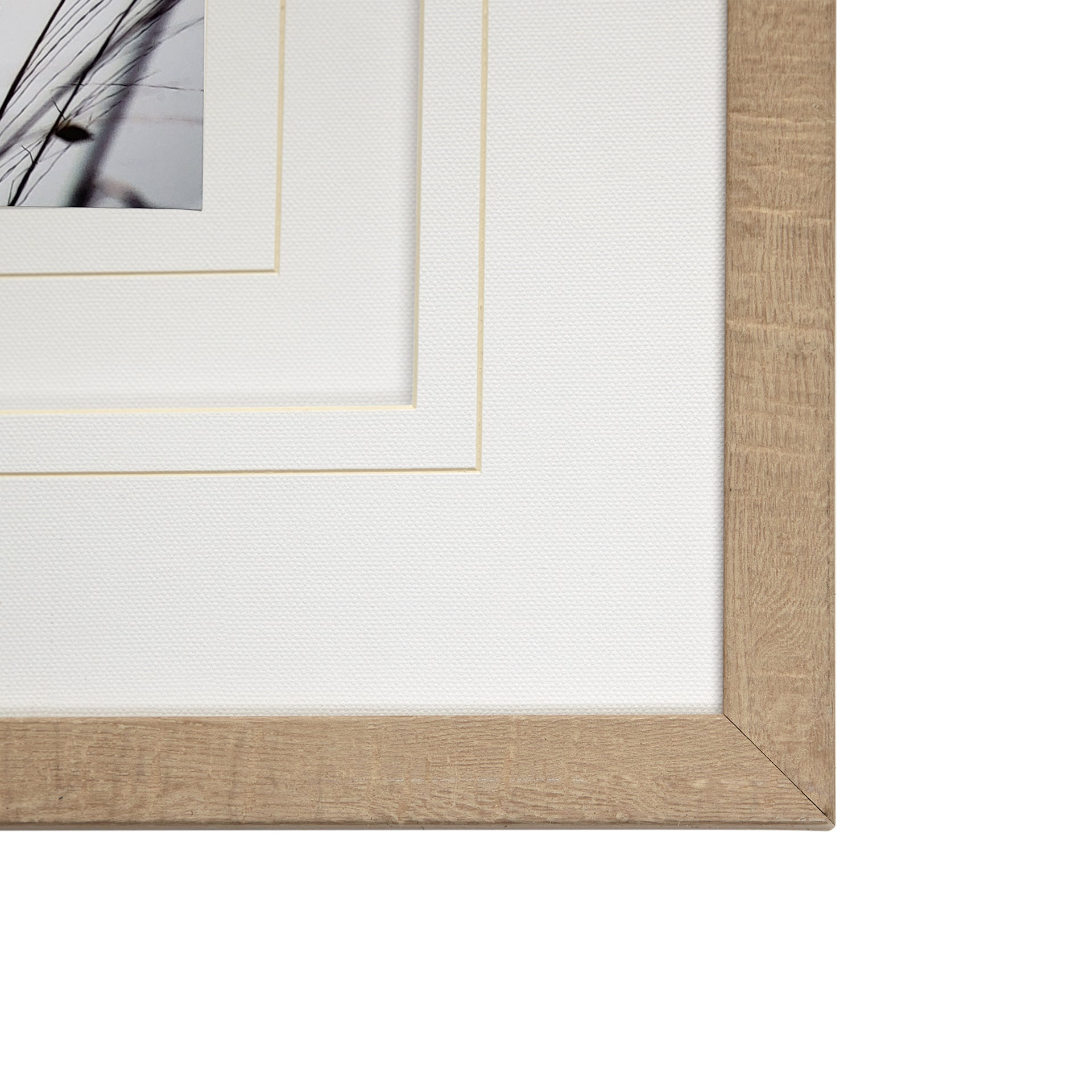 Organic II | Calgary Furniture Store
