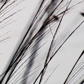 Organic II | Calgary Furniture Store