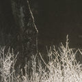 Tranquil Symmetry | Calgary Furniture Store