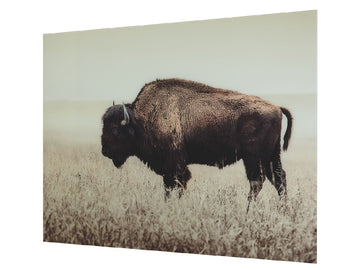Brutus Wall Art | Calgary Furniture Store