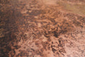 VENUS COFFEE TABLE | Calgary's Furniture Store | Calgary Coffee Table