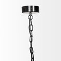 Antigon II Five Bulb Chandelier - Black Metal and Glass | Calgary Furniture Store